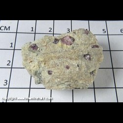 Mineral Specimen: Ruby Corundum, Muscovite variety:Fuschite, Titanite, Hematite, Mica from Cascade Canyon near Nt. Baldy, San Gabriel Mts, Los Angeles Co, California, USA Mineral Specimen: Ruby Corundum, Muscovite variety:Fuschite, Titanite, Hematite, Mica from Cascade Canyon near Nt. Baldy, San Gabriel Mts, Los Angeles Co, California, USA