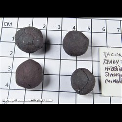 Mineral Specimen: Taconite Pellets from Hibbing Taconite Mine, Hibbing, Mesabi Range, St. Louis Co., Minnesota Mineral Specimen: Taconite Pellets from Hibbing Taconite Mine, Hibbing, Mesabi Range, St. Louis Co., Minnesota