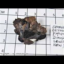 Mineral Specimen: Titanite (Sphene) from Diana Twp., Lewis Co., New York Mineral Specimen: Titanite (Sphene) from Diana Twp., Lewis Co., New York