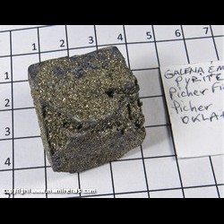 Mineral Specimen: Pyrite on Galena from Picher Field, Tri-State District, Cherokee Co,  Kansas