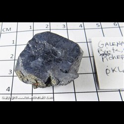Mineral Specimen: Pyrite and small, gemmy Sphalerite on Galena from Picher Field, Tri-State District, Cherokee Co,  Kansas
