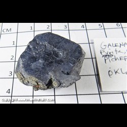 Mineral Specimen: Pyrite and small, gemmy Sphalerite on Galena from Picher Field, Tri-State District, Cherokee Co, Kansas Mineral Specimen: Pyrite and small, gemmy Sphalerite on Galena from Picher Field, Tri-State District, Cherokee Co, Kansas