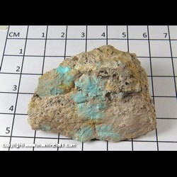 Mineral Specimen: Turquoise from Arizona Mineral Specimen: Turquoise from Arizona