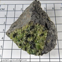 Mineral Specimen: Peridot (Fayalite-Forsterite series) with Chromite from San Carlos, San Carlos Apache Indian Reservation, Gila Co., Arizona Mineral Specimen: Peridot (Fayalite-Forsterite series) with Chromite from San Carlos, San Carlos Apache Indian Reservation, Gila Co., Arizona