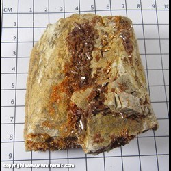 Mineral Specimen: Vanadinite from Elko Co., Nevada Mineral Specimen: Vanadinite from Elko Co., Nevada