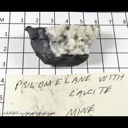 Mineral Specimen: Calcite on Psilomelane from Tower mine (Nancy mine), Luis Lopez manganese Dist., Socorro Co., New Mexico Mineral Specimen: Calcite on Psilomelane from Tower mine (Nancy mine), Luis Lopez manganese Dist., Socorro Co., New Mexico