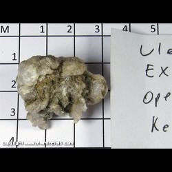 Mineral Specimen: Ulexite from Ext. 5, U.S. Borax open pit, U.S. Borax Mine, Boron, Kern Co., California Mineral Specimen: Ulexite from Ext. 5, U.S. Borax open pit, U.S. Borax Mine, Boron, Kern Co., California