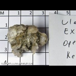 Mineral Specimen: Ulexite from Ext. 5, U.S. Borax open pit, U.S. Borax Mine, Boron, Kern Co., California