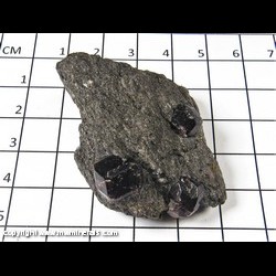 Mineral Specimen: Almandine Garnet in Schist from Wrangell, Alaska Mineral Specimen: Almandine Garnet in Schist from Wrangell, Alaska