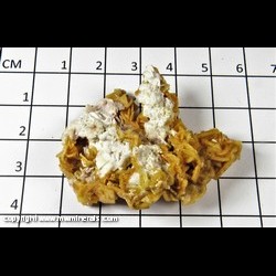 Mineral Specimen: Barite from Juanita Mine, Magdalena Dist., Socorro Co., New Mexico
