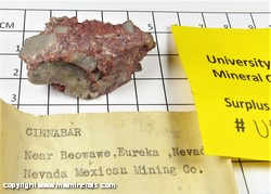 Mineral Specimen: Cinnabar from Beowawe Mining District, Eureka Co., Nevada Mineral Specimen: Cinnabar from Beowawe Mining District, Eureka Co., Nevada