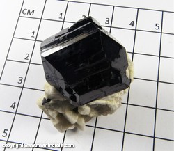 Mineral Specimen: Schorl Tourmaline on Albite from Erongo Mountain, Namibia Mineral Specimen: Schorl Tourmaline on Albite from Erongo Mountain, Namibia