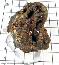 Mineral Specimen: Sphalerite variety: Ruby Jack on Druze Quartz on Chert (stand included) from Tri State District, Joplin, Missouri