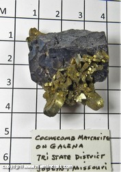 Mineral Specimen: Marcasite variety: Cockscomb on Galena from Tri State District, Joplin, Missouri Mineral Specimen: Marcasite variety: Cockscomb on Galena from Tri State District, Joplin, Missouri