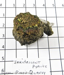 Mineral Specimen: Pyrite, Spherical, Iridescnet from Pints Quarry, Raymond, Black Hawk Co., Iowa Mineral Specimen: Pyrite, Spherical, Iridescnet from Pints Quarry, Raymond, Black Hawk Co., Iowa