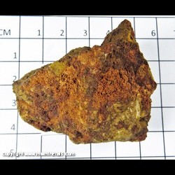 Mineral Specimen: Carminite from Gold Hill Mine, Tooele Co, Utah Mineral Specimen: Carminite from Gold Hill Mine, Tooele Co, Utah