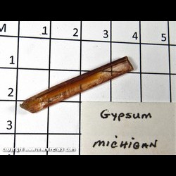 Mineral Specimen: Selenite (Gypsum) from Bristol Mine, Crystal Falls, Iron Co., Michigan