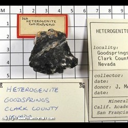 Mineral Specimen: Heterogenite from Goodsprings, Clark Co., Nevada Mineral Specimen: Heterogenite from Goodsprings, Clark Co., Nevada