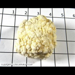 Mineral Specimen: Magnesite from White Pine Co., Nevada
