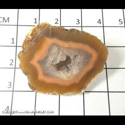 Mineral Specimen: Agate/Geode Slice (unpolished) from Chihuahua, Mexico