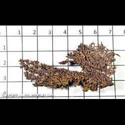 Mineral Specimen: Copper Crystals from Cheg Men Shan Deposit, Jiurui Dist., Jiangxi, China Mineral Specimen: Copper Crystals from Cheg Men Shan Deposit, Jiurui Dist., Jiangxi, China