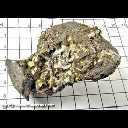 Mineral Specimen: Pyrite, Diploid Crystals, Dolomite from Duff Quarry, Huntsville, Logan Co, Ohio Mineral Specimen: Pyrite, Diploid Crystals, Dolomite from Duff Quarry, Huntsville, Logan Co, Ohio