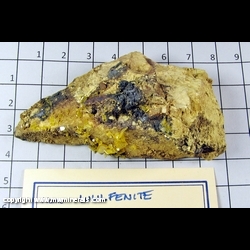Mineral Specimen: Wulfenite from Silver Bill Mine, Gleeson, Cochise Co,  Arizona