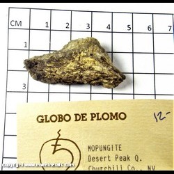 Mineral Specimen: Mopungite on Pumice from Desert Peak Pumice Quarry, Churchill Co., Nevada Mineral Specimen: Mopungite on Pumice from Desert Peak Pumice Quarry, Churchill Co., Nevada