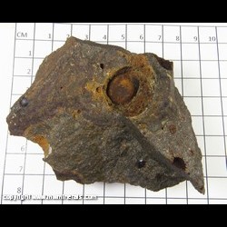 Mineral Specimen: Siderite variety: Spherosiderite from Spokane, Spokane Co., Washington