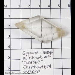 Mineral Specimen: Gypsum/Selenite Water Clear Floater Rhomb from Chihuahua, Mexico Mineral Specimen: Gypsum/Selenite Water Clear Floater Rhomb from Chihuahua, Mexico