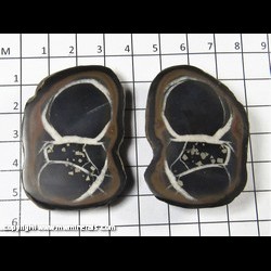Mineral Specimen: Calcite in Septarian Nodule (polished pair) with Pyrite Crystals from Morocco Mineral Specimen: Calcite in Septarian Nodule (polished pair) with Pyrite Crystals from Morocco