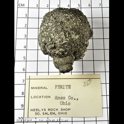 Mineral Specimen: Pyritized Marine Burrow from Ross Co,  Ohio