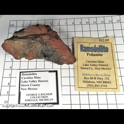 Mineral Specimen: Ramsdellite variety: Polianite from Carolina Mine, Lake Valley Dist., Sierra Co., New Mexico Mineral Specimen: Ramsdellite variety: Polianite from Carolina Mine, Lake Valley Dist., Sierra Co., New Mexico
