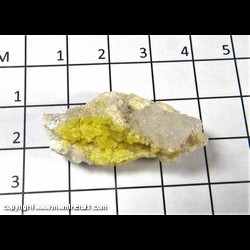 Mineral Specimen: Sulfur, Alum-(K) aka Potassium Alum from Alum Mine, Alum Mining District, Esmeralda Co., Nevada