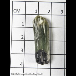 Mineral Specimen: Tourmaline with Albite from Stak Nala, Haramosh Mts., Skardu District, Baltistan, Gilgit-Baltistan, Pakistan