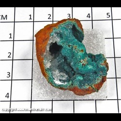 Mineral Specimen: Rosasite from Mina Ojuela, Mapimi, Durango, Mexico Mineral Specimen: Rosasite from Mina Ojuela, Mapimi, Durango, Mexico