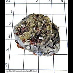 Mineral Specimen: Sphalerite variety: Ruby Jack and Pyrite on Galena from Tri State District, Joplin, Missouri