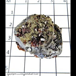 Mineral Specimen: Sphalerite variety: Ruby Jack and Pyrite on Galena from Tri State District, Joplin, Missouri Mineral Specimen: Sphalerite variety: Ruby Jack and Pyrite on Galena from Tri State District, Joplin, Missouri
