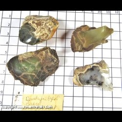 Mineral Specimen: Opal, Dendritic and/or Green from Brazil Mineral Specimen: Opal, Dendritic and/or Green from Brazil