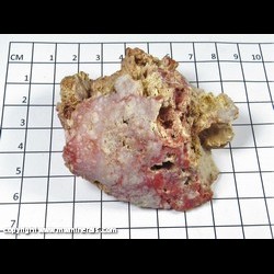 Mineral Specimen: Myrickite: Cinnabar included in Common Opal from B&B mine, Fish Lake Valley District, Esmeralda County, Nevada Mineral Specimen: Myrickite: Cinnabar included in Common Opal from B&B mine, Fish Lake Valley District, Esmeralda County, Nevada