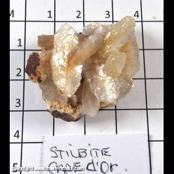 Mineral Specimen: Stilbite from Cape d'Or, Cumberland Co., Nova Scotia, Canada