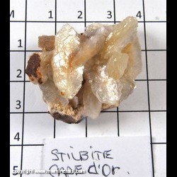 Mineral Specimen: Stilbite from Cape d'Or, Cumberland Co., Nova Scotia, Canada