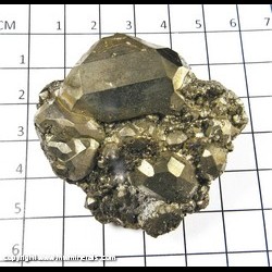 Mineral Specimen: Pyrite from Nanisivik Mine, Nanisivik, Baffin Island, Qikiqtaaluk Region, Nunavut, Canada