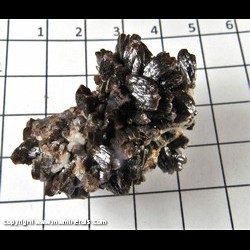 Mineral Specimen: Vanadinite variety: Endlichite (Arsenian) from Chihuahua, Mexico Mineral Specimen: Vanadinite variety: Endlichite (Arsenian) from Chihuahua, Mexico