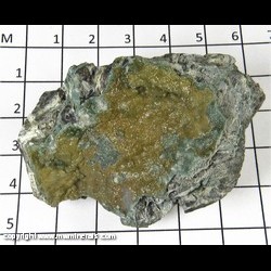 Mineral Specimen: Lizardite from Monte dei Tre Abati, Coli, Piacenza Prov., Emilia-Romagna, Italy