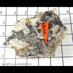Mineral Specimen: Kanonaite from Vielsam, Belgium