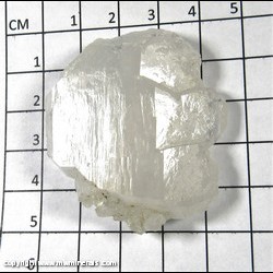 Mineral Specimen: Quartz, Tabular, Double Terminated from Arkansas