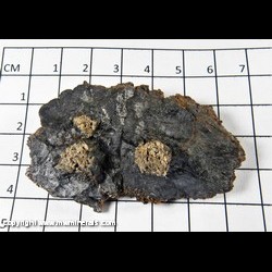 Mineral Specimen: Sphalerite with Spherical Aggregates of Unidentified Beige Crude Crystals from Tri State District, Joplin, Missouri