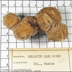 Mineral Specimen: Selenite Desert Roses from Chihuahua, Mexico