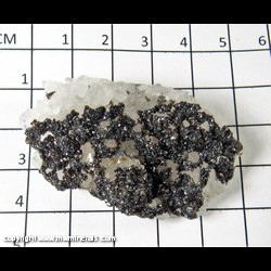 Mineral Specimen: Sphalerite on Quartz Crystals from Tri State District, Joplin, Missouri